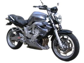 ECOPES SPACE | FZ 6 S1 N (2003/2006)