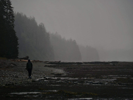 Vancouver Island - Day 42