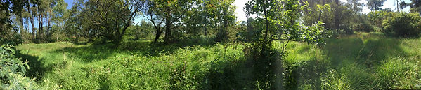 terrain crozon gauche.JPG