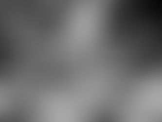 Moonshine Still in the Woods