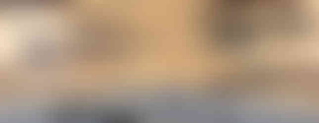 Hechler & Koch HK21 Beltfed Machine Gun