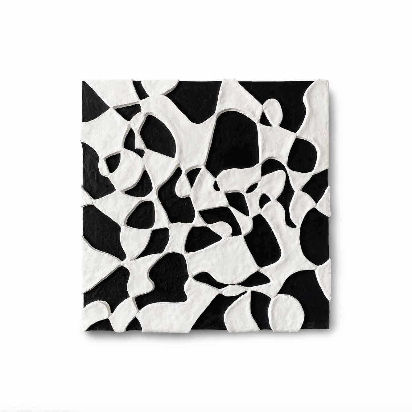 Tangencies // Black + White, Square