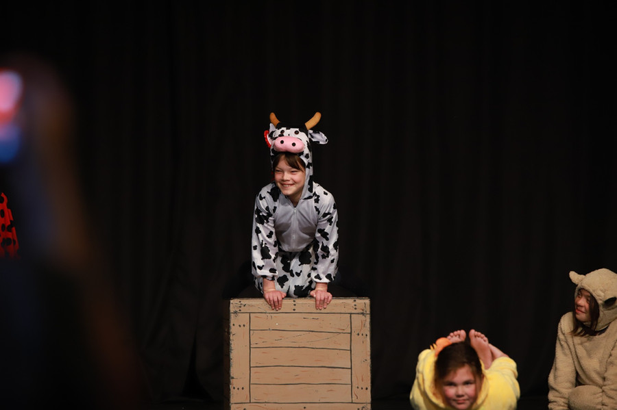 Theatrics Rotorua 2024 Speech and Drama classes