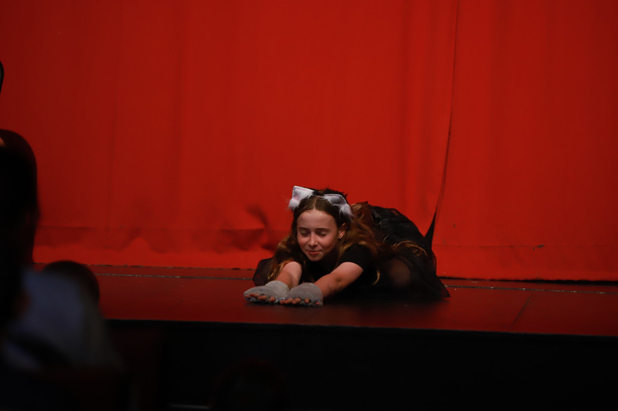 Theatrics Rotorua 2024 Speech and Drama classes