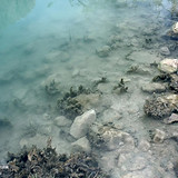 Murky Pool