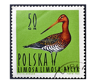 AdobeStock_484519862.png