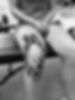 64DD35E9-2B5E-4CCE-8885-877A85E4B8C4.jpg