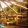 Progress on the Roundhouse