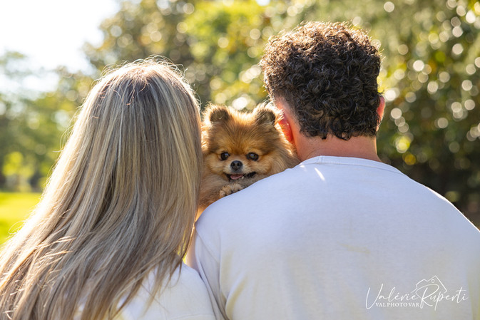 Photographe animal domestique Hyères