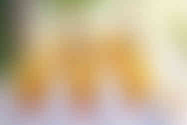 Cocktail traiteur U le Cannet des Maures