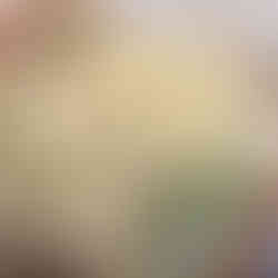 Le bouquet de la Vierge Marie tradition provençale