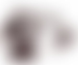 نــداء الــضمير الــحي - حسن بقاري السباعي