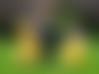 أيها الأمل الغافي - بوعلام حمدوني