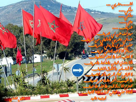 يا قلم.......يا مغربي - ابوديبة رشيد
