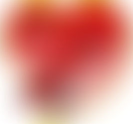 لـك الـنـصـر يـا وطـنـي - شـامـة الـمـؤذن