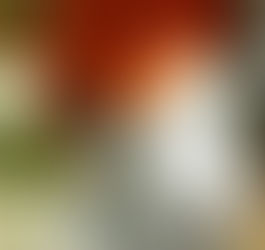 معبد الهوى - فوزية احمد تل الفيلالي