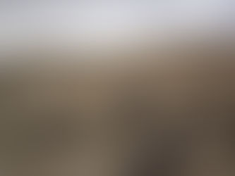 حديث الشيح و الجبال - على السعيدي