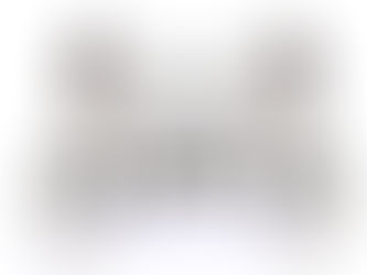 خيول الكلمات - فوزية أحمد الفيلال