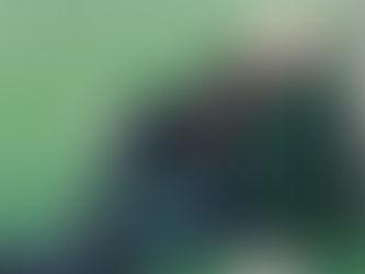 حوار..بين نزار...وابو نؤاس - مختار الأسمر