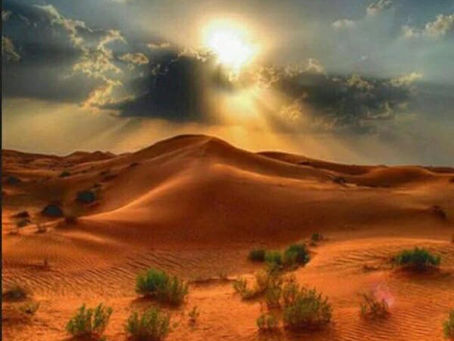 الاستعمار الصامت.... - خوله رمضان