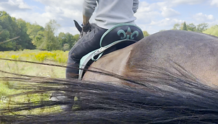 Equitation.png