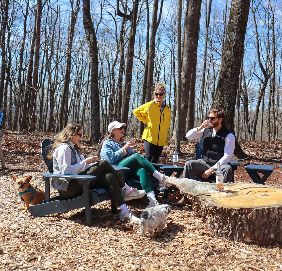 Guest Star Hike Experience