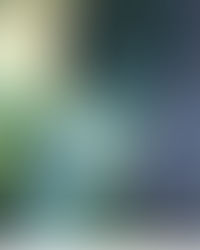 Femme, de l'Ombre à la Lumière