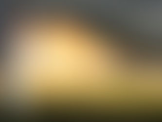 Le voile de l'illusion