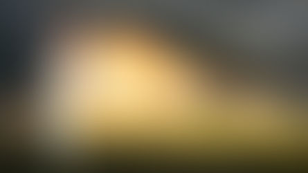 Le voile de l'illusion