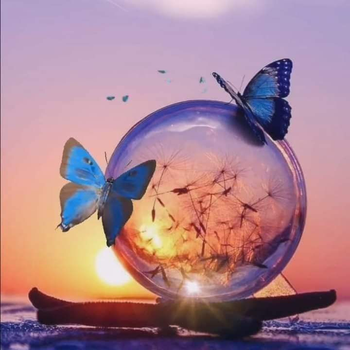 ree