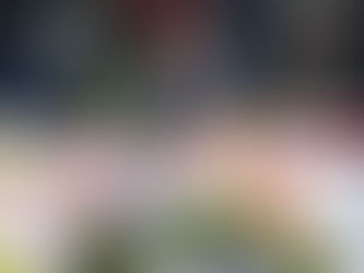 Cowardly Slaughter of Innocents - In New Zealand & Beyond