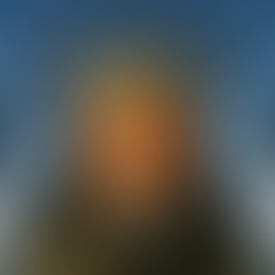 The Wannabe King Dumped On The ‘NO KINGS’ Protesters