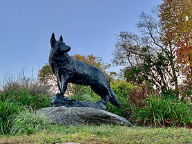 IMG_6375.jpg