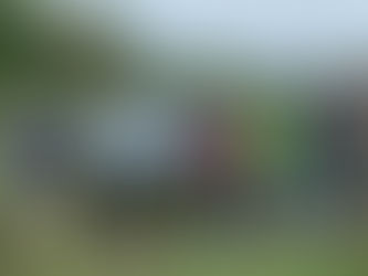 October 10, 2021: Pollinator Garden Weeding and Clean-Up