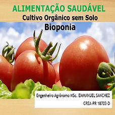 CAPACURSOBIOPONIA1c.jpg