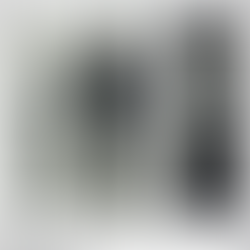 San Jose Pioneers of the Bicycle, Part 1