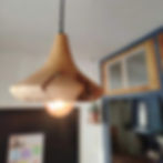 Suspension thuya