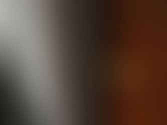 真鍮の取っ手とポスト