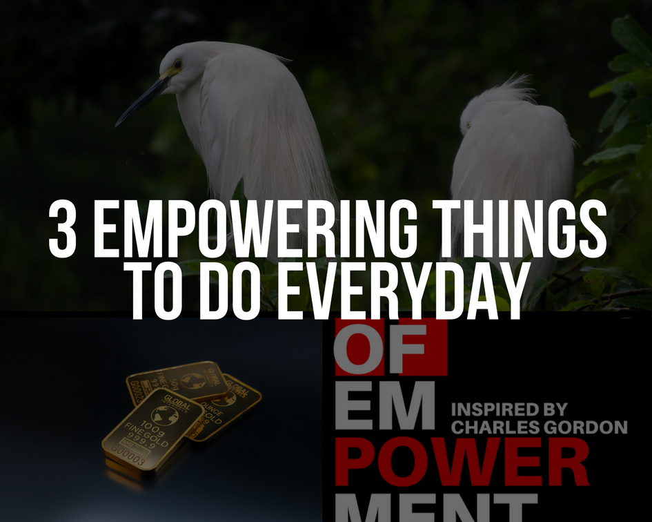 3 Empowering Things To Do Everyday, based on The Secrets of Empowerment by Charles Gordon