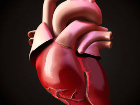How "hot flashes" are connected to heart health