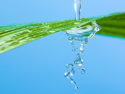 Moisturizer vs. Lubricant: 