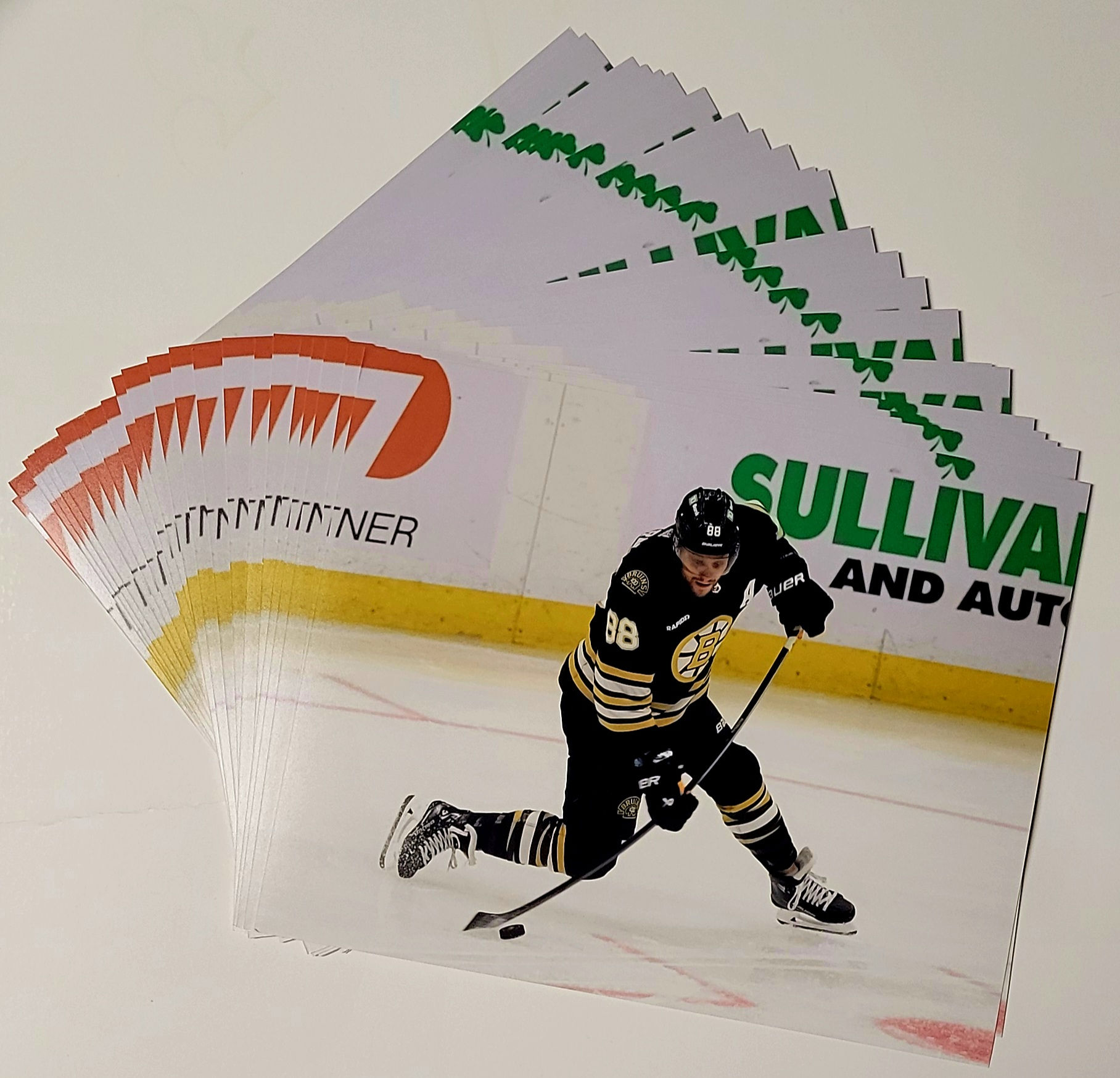 David Pastrnak Boston Bruins 16x20 Photo Lot (10) Images High