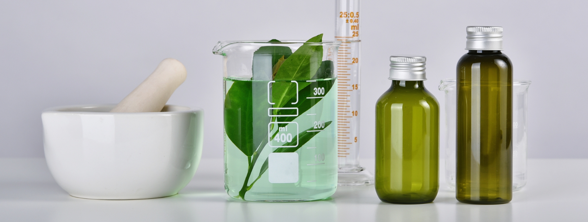 What are Structure/Function Claims?