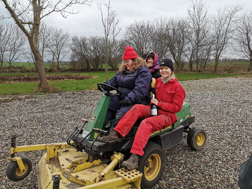 2020.12.31 En landlig nytårshilsen_01.jpg