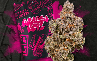 Bodega Boyz | Exotic Flower