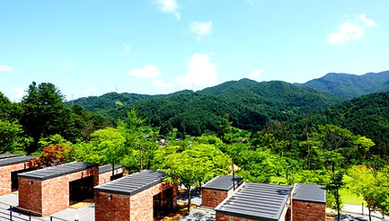 462248db21274_edited.jpg