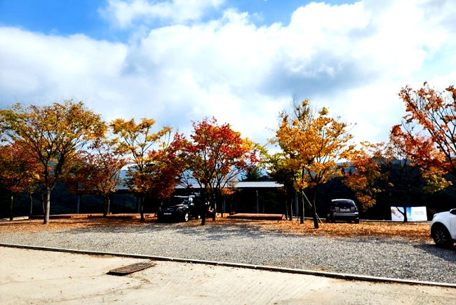 다운로드 (52)_edited.jpg