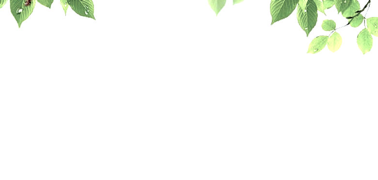 다운로드 - 2025-03-03T133422_edited_edited.j