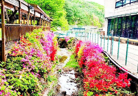 Screenshot 2025-08-19 at 17.20_edited.jp