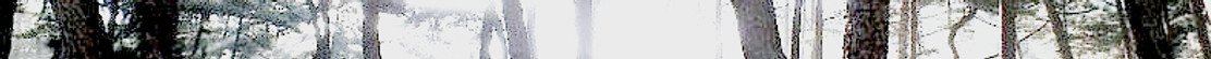 Screenshot 2025-07-10 at 23_edited_edited_edited.jpg